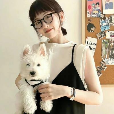杀手寓言动画版